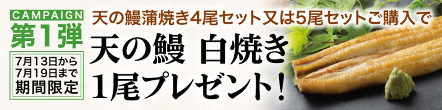第一弾 天の鰻 白焼き1尾プレゼント！ 7月13日から7月19日まで
