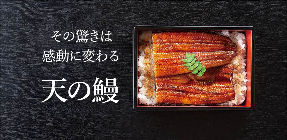 天の鰻