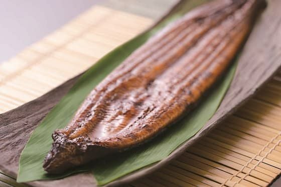 司の鰻【蒲焼き】（鹿児島県産） 送料別 | 土佐料理 司[つかさ]・祢保